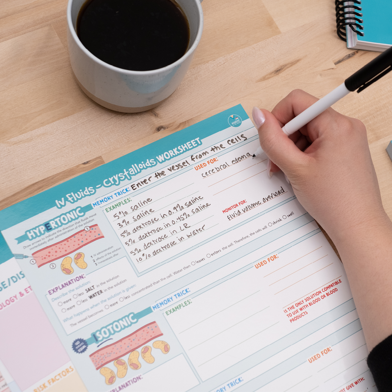 Laminated Study Templates - Educators
