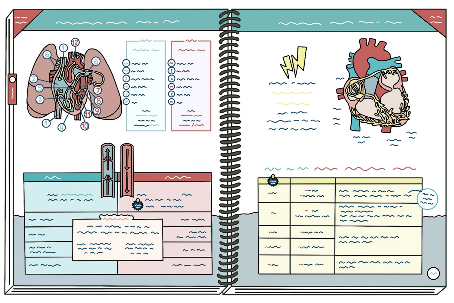 NCLEX