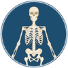 Anatomy & Physiology