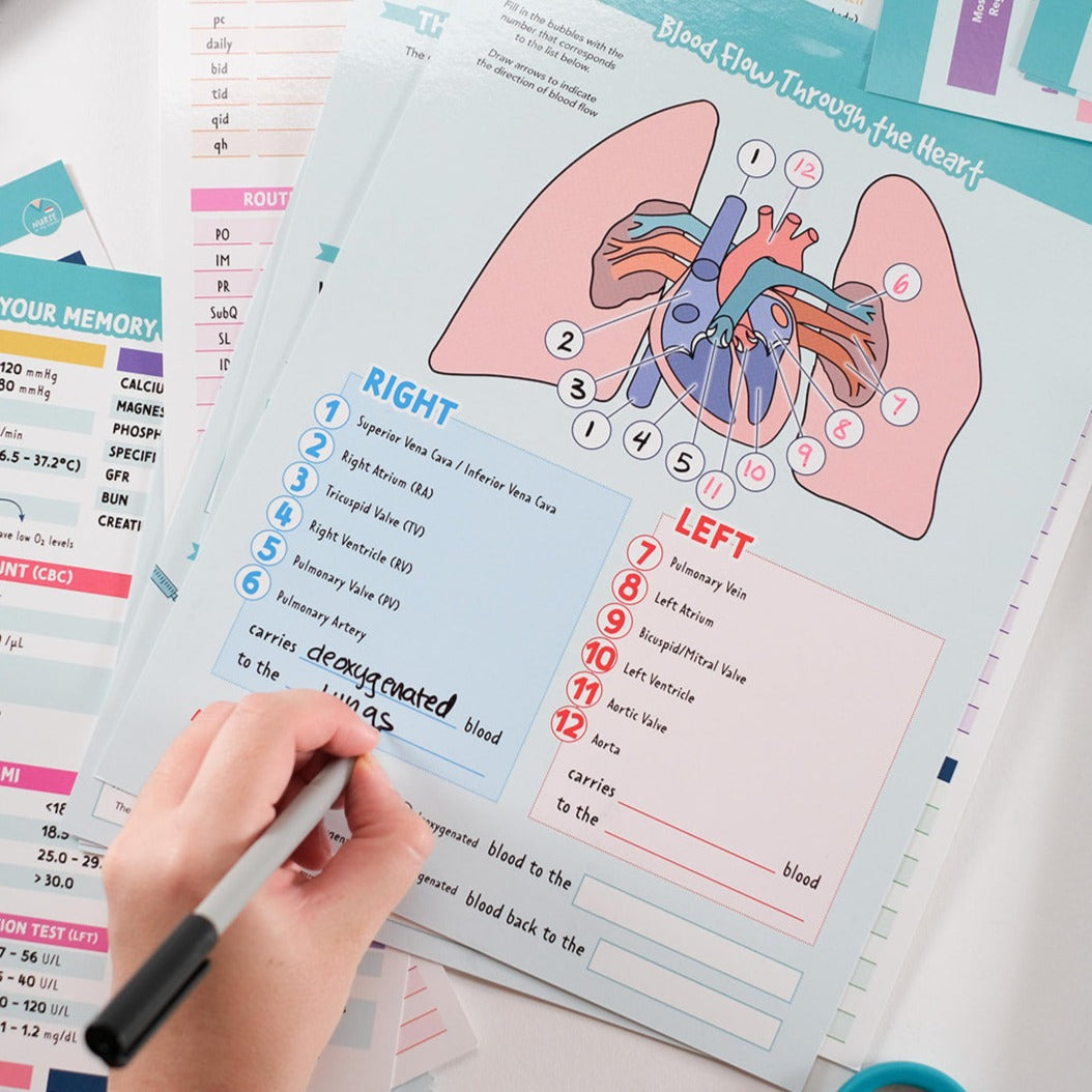 Laminated Study Templates - Educators